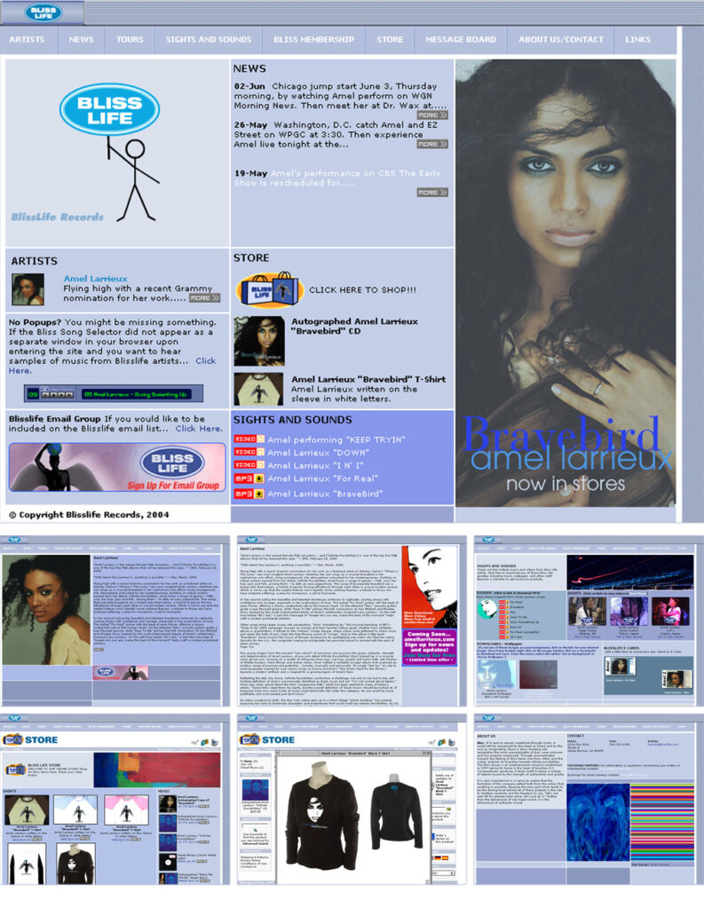 blisslife_website_slick