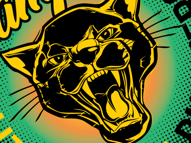 littlemiamipanthers_thumbnail2_960x1580